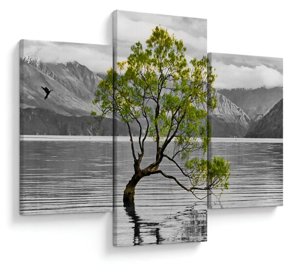 Obraz stromu uprostred jazera (90x60 cm)