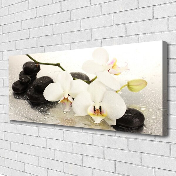Obraz Canvas Kvet kamene umenie 125x50 cm