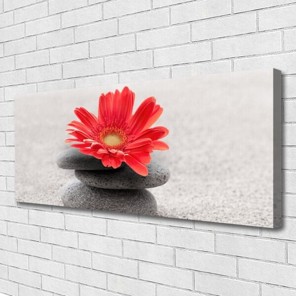 Obraz Canvas Kvet kamene umenie 125x50 cm