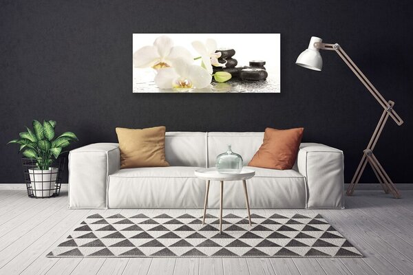 Obraz Canvas Kvet kamene rastlina 125x50 cm