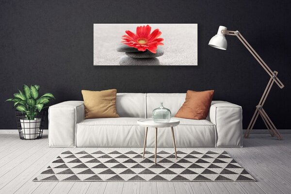 Obraz Canvas Kvet kamene umenie 125x50 cm