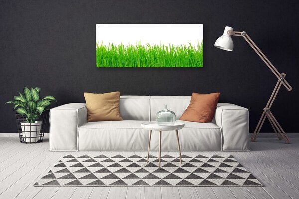 Obraz Canvas Tráva rastlina príroda 125x50 cm