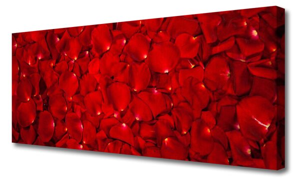 Obraz Canvas Plátky rastlina príroda 125x50 cm