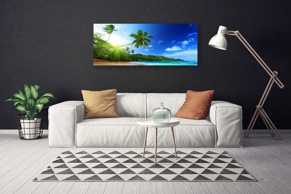 Obraz Canvas Pláž more palma krajina 125x50 cm