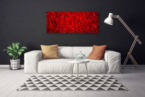 Obraz Canvas Plátky rastlina príroda 125x50 cm