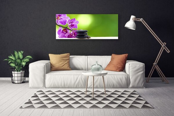 Obraz Canvas Kvet kamene rastlina 125x50 cm