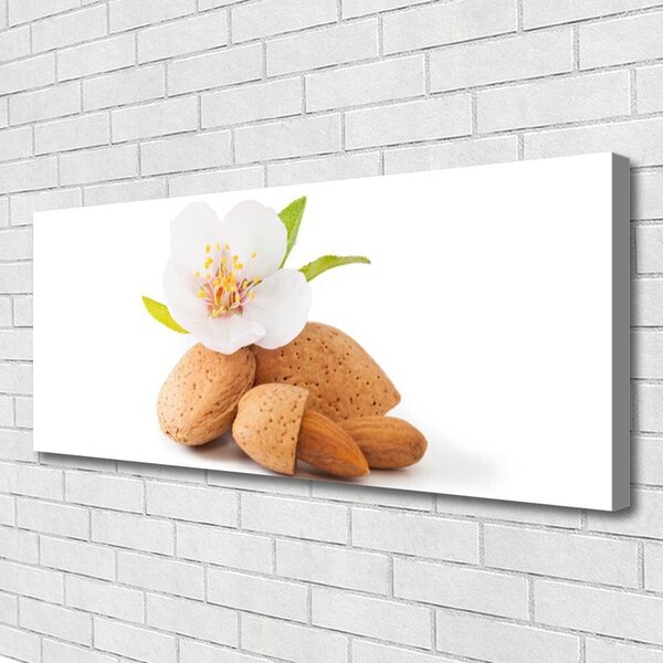 Obraz Canvas Kvet pistácie príroda 125x50 cm