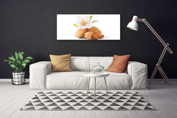 Obraz Canvas Kvet pistácie príroda 125x50 cm