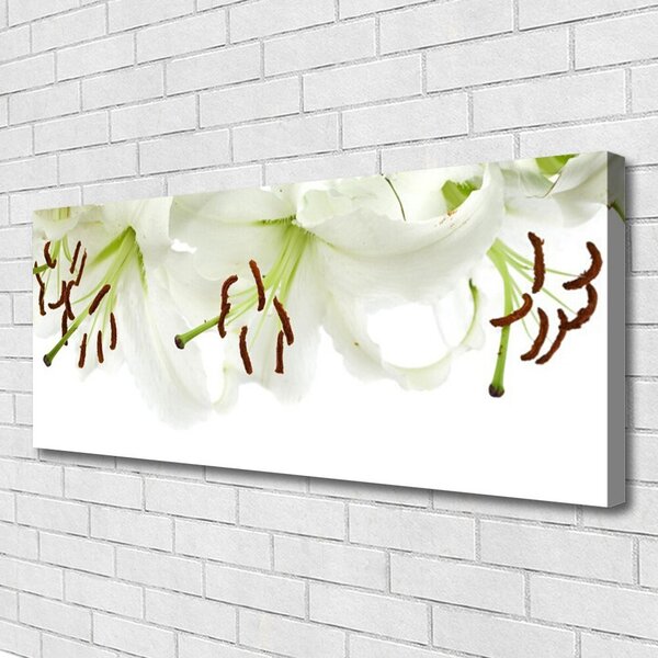 Obraz Canvas Kvety rastlina príroda 125x50 cm