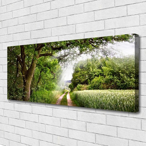 Obraz Canvas Stromy chodník príroda 125x50 cm