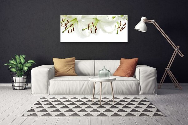 Obraz Canvas Kvety rastlina príroda 125x50 cm