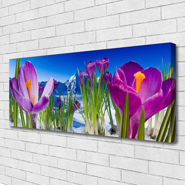 Obraz Canvas Kvety rastlina príroda 125x50 cm