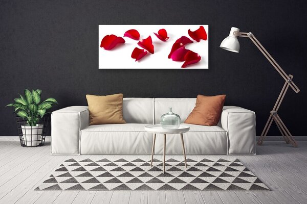 Obraz Canvas Plátky rastlina príroda 125x50 cm