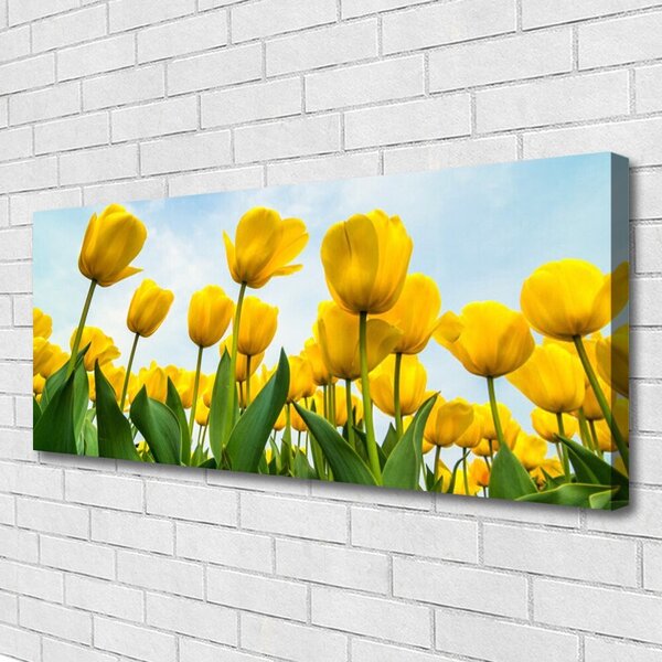 Obraz Canvas Tulipány kvety rastlina 125x50 cm