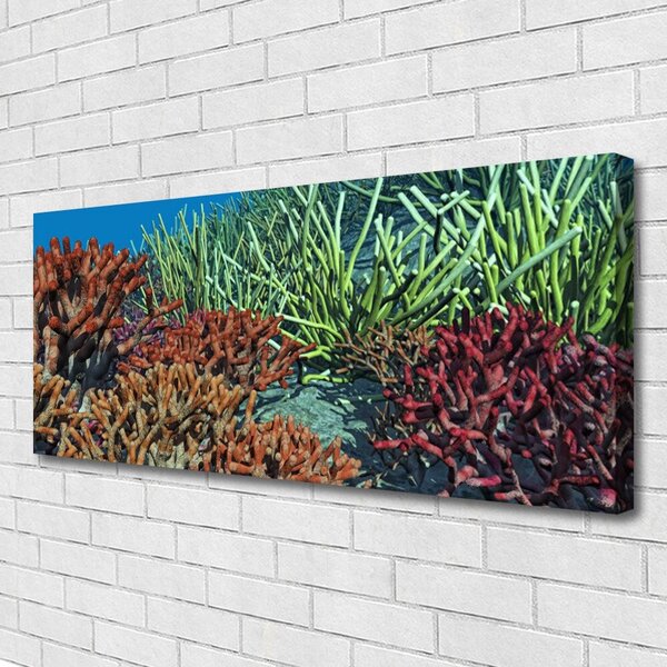 Obraz Canvas Koralový útes príroda 125x50 cm