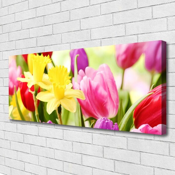 Obraz Canvas Kvety rastlina príroda 125x50 cm