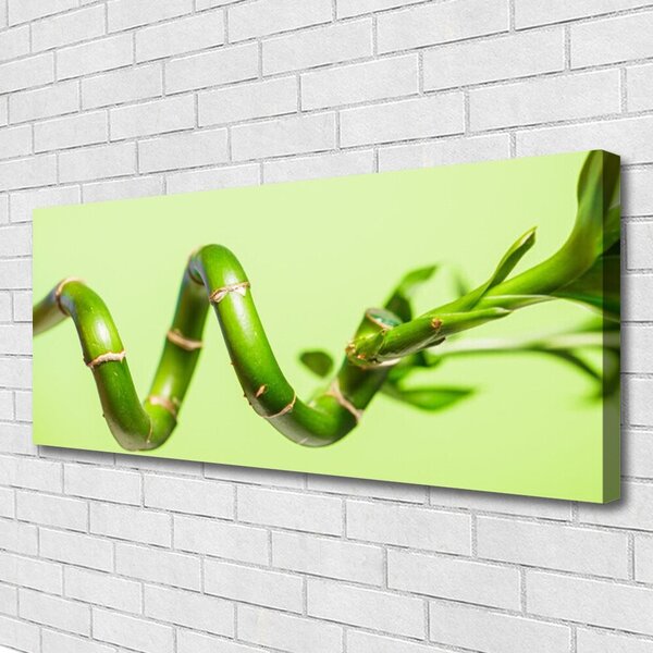Obraz Canvas Bambus rastlina príroda 125x50 cm