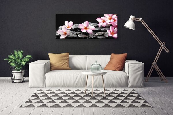 Obraz Canvas Kvet kamene rastlina 125x50 cm