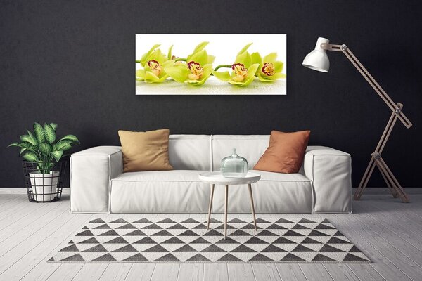 Obraz Canvas Kvety rastlina príroda 125x50 cm