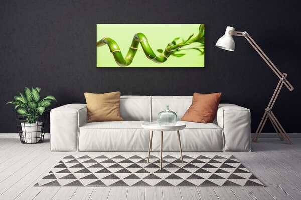 Obraz Canvas Bambus rastlina príroda 125x50 cm
