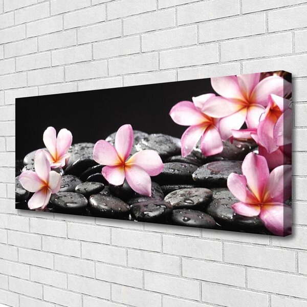 Obraz Canvas Kvet kamene rastlina 125x50 cm