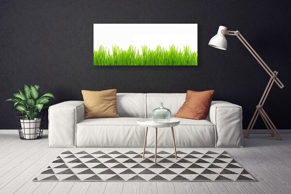 Obraz Canvas Tráva rastlina príroda 125x50 cm