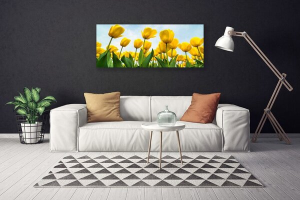 Obraz Canvas Tulipány kvety rastlina 125x50 cm
