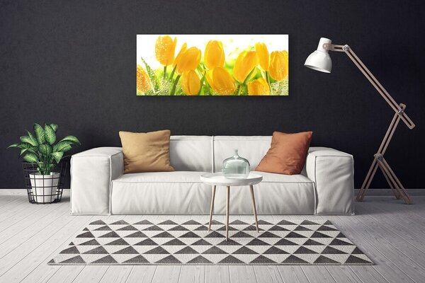 Obraz Canvas Tulipány kvety rastlina 125x50 cm