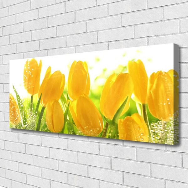 Obraz Canvas Tulipány kvety rastlina 125x50 cm