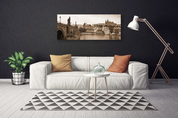 Obraz na plátne Praha most krajina 125x50 cm