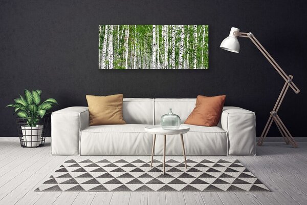 Obraz na plátne Breza les stromy príroda 125x50 cm