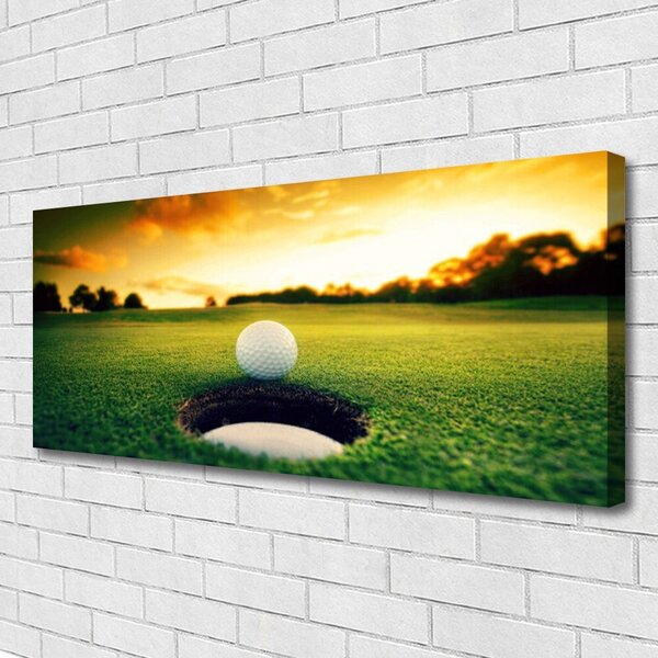 Obraz na plátne Golfový loptička tráva príroda 125x50 cm