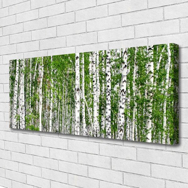 Obraz na plátne Breza les stromy príroda 125x50 cm