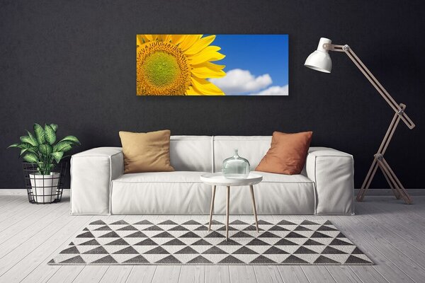 Obraz na plátne Slnečnica mraky 125x50 cm