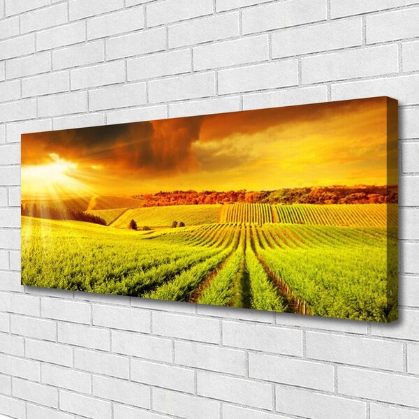 Obraz na plátne Pole západ slnka krajina 125x50 cm