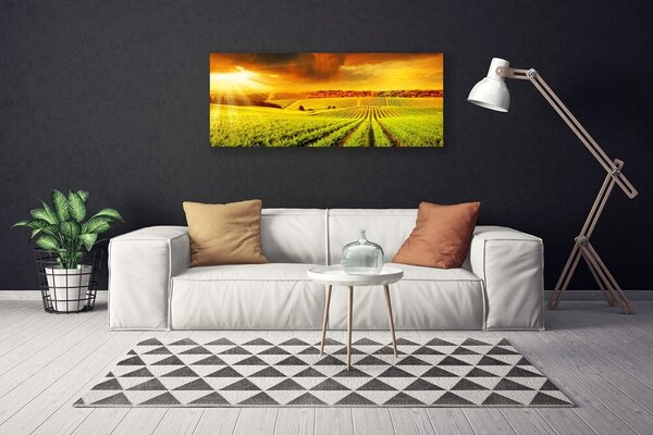 Obraz na plátne Pole západ slnka krajina 125x50 cm