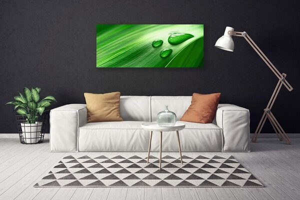 Obraz na plátne List voda kvapka 125x50 cm
