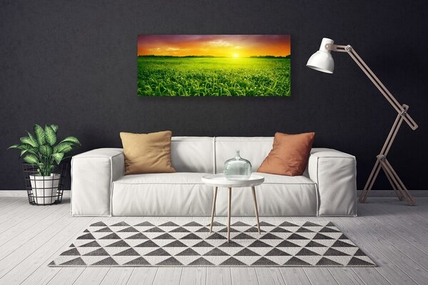 Obraz na plátne Obilie pole východ slnka 125x50 cm