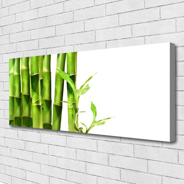 Obraz na plátne Bambus rastlina 125x50 cm