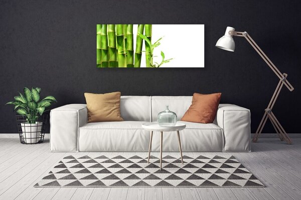 Obraz na plátne Bambus rastlina 125x50 cm