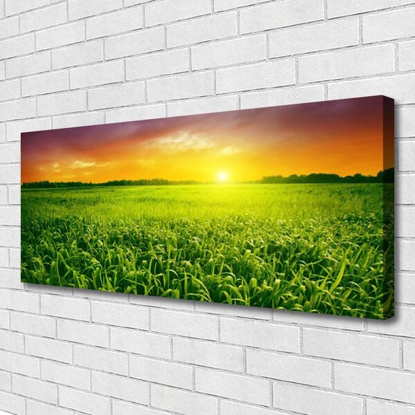 Obraz na plátne Obilie pole východ slnka 125x50 cm