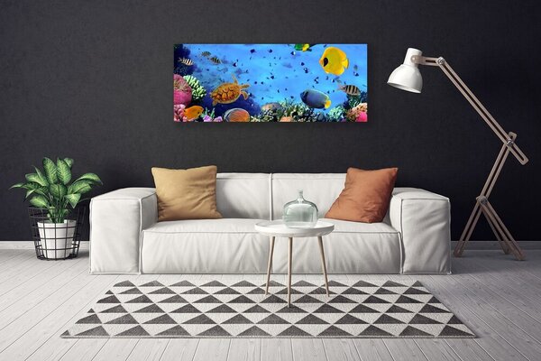 Obraz na plátne Koralový útes ryba príroda 125x50 cm