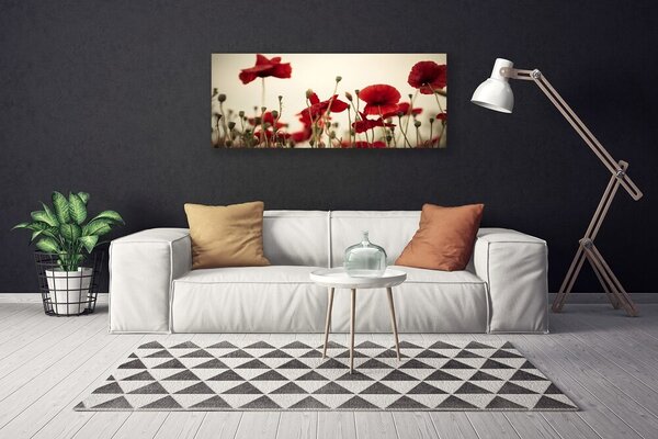 Obraz na plátne Maky 125x50 cm