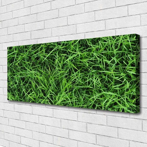 Obraz na plátne Tráva trávnik 125x50 cm