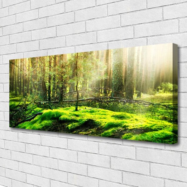Obraz na plátne Mech les príroda 125x50 cm