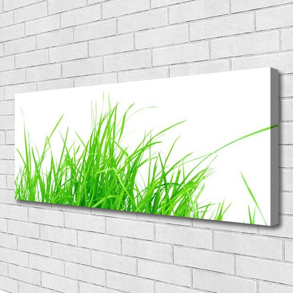 Obraz na plátne Tráva 125x50 cm