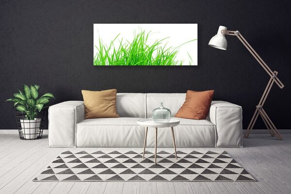 Obraz na plátne Tráva 125x50 cm