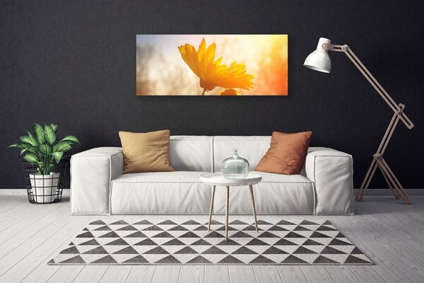 Obraz na plátne Slnečnica 125x50 cm