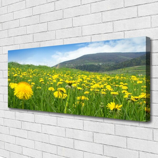 Obraz na plátne Púpava príroda 125x50 cm