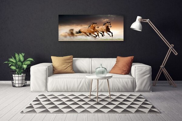 Obraz na plátne Kone zvieratá 125x50 cm